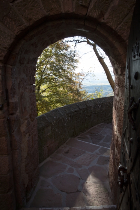 Haut-Koenigsbourg - 013